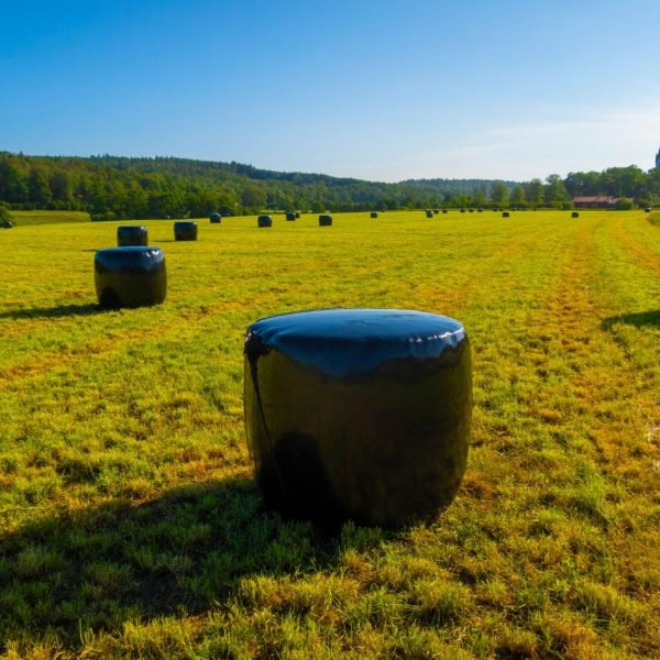 How Much is 10 Acres of Hay Worth